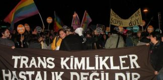 24 Ekim 2014: Translar 45 ülkede sokaklarda: Hasta Değiliz!