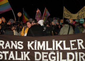 24 Ekim 2014: Translar 45 ülkede sokaklarda: Hasta Değiliz!