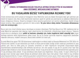 Cinsel İstismarın Evlilik Yoluyla Affına İsyan Ettik Ve Kazandık! Ama Sözümüz, Mücadelemiz Bitmedi: Bu Yasaların Bizsiz Yapılmasına Rızamız Yok!