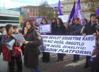 4 Aralık 2010: Genç-Sen üyesi kadına yönelik polis şiddeti