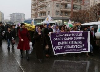 27 Ocak 2014: Diyarbakır’da kadın cinayetleri protesto edildi