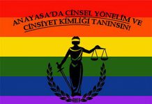 16 Şubat 2008: Anayasa LGBTT Komisyonu Anayasa Komisyonu’na kart attı