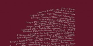 Bianet 2016’nın “erkek şiddeti çetelesi”ni açıkladı