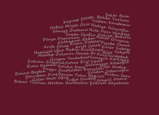 Bianet 2016’nın “erkek şiddeti çetelesi”ni açıkladı