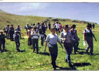 29 Nisan 2001: “Edinilmiş mallara katılma rejimi” için kadınlar dağlardan seslendi!