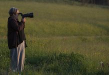 İz (Pokot), Polonya’nın otoriter-erkek iktidarına dair bir hikaye