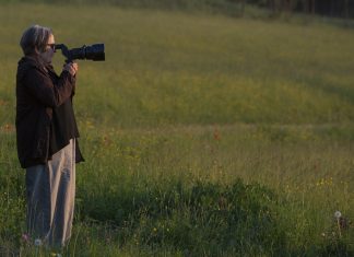 İz (Pokot), Polonya’nın otoriter-erkek iktidarına dair bir hikaye