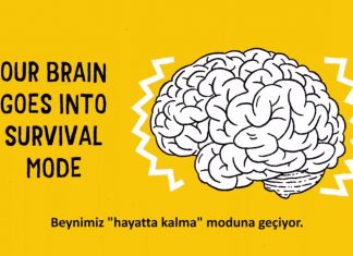“Karşı koyacağımı düşünmüştüm. Sadece dondum.”