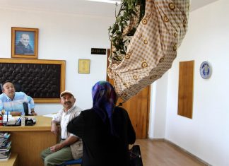 Mesele üç beş ağaç değil
