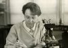 2 Eylül 1992: ‘Geç gelen Nobel ödüllü’ genetikçi Barbara McClintock hayatını kaybetti