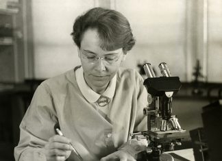 2 Eylül 1992: ‘Geç gelen Nobel ödüllü’ genetikçi Barbara McClintock hayatını kaybetti