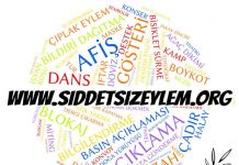 Şiddetsizlik Merkezi’nden Hilal Demir ile söyleşi: Şiddetsiz eylem veri sitesi açıldı