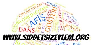Şiddetsizlik Merkezi’nden Hilal Demir ile söyleşi: Şiddetsiz eylem veri sitesi açıldı