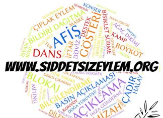 Şiddetsizlik Merkezi’nden Hilal Demir ile söyleşi: Şiddetsiz eylem veri sitesi açıldı