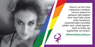 87 kadın ve LGBTİ+ örgütü: Diren’in ve tüm trans mahpusların yanındayız!
