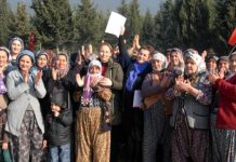 Tarımda patriyarkal emek sömürüsü ve feminist politika açısından sonuçları