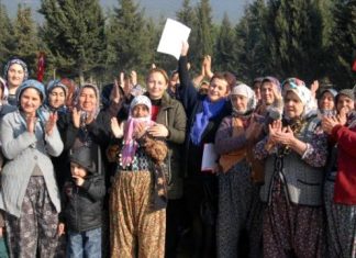 Tarımda patriyarkal emek sömürüsü ve feminist politika açısından sonuçları