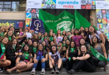 Şili 8 Mart Grev komitesinden Rosario Olivares’le söyleşi