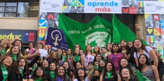 Şili 8 Mart Grev komitesinden Rosario Olivares’le söyleşi
