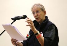 Cynthia Cockburn görüşmesi*: iktidar karşısında bütünsel bir feminist mücadeleye doğru