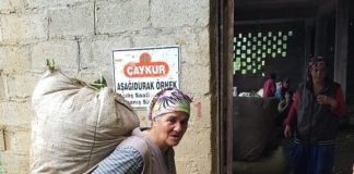 Çayı eden kadındır