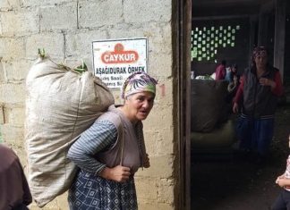 Çayı eden kadındır