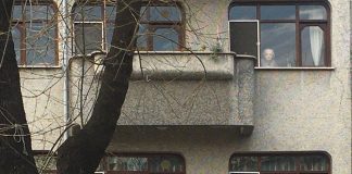 Grileşen bütçe, kadınlaşan yaşlılık ve tek yol feminist gerontoloji