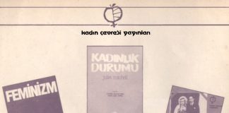 27 Mart 1984: İkinci dalga Türkiye’de – Kadın Çevresi
