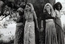 24 Nisan 1973: Ağaçlara siper olan kadınlar – Hindistan’da Chipko hareketi