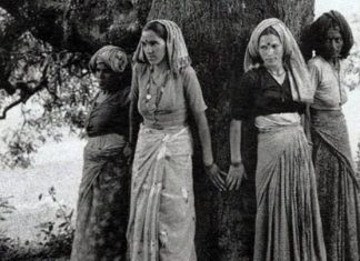 24 Nisan 1973: Ağaçlara siper olan kadınlar – Hindistan’da Chipko hareketi