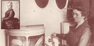 3 Ağustos 1913: Bulaşık makinesinin mucidi Josephine Cochrane