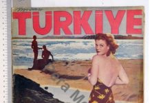 Cheesecake metaforu, pin-up kızlar ve heteronormatif kurgu
