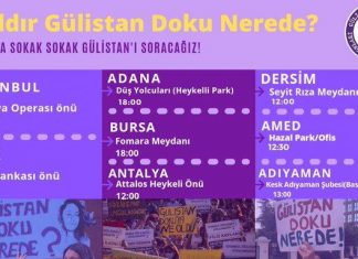 Bir senedir durmadan soruyoruz: Gülistan Doku nerede?