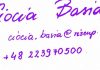 Sınırları aşan bir kürtaj dayanışması / Ciocia Basia ile söyleşi