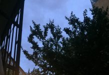 Evde kapanıp kalmış kadın(lar)ın durumunu anlatır yazıdır