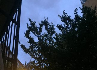 Evde kapanıp kalmış kadın(lar)ın durumunu anlatır yazıdır