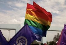 Heteroseksüel feministlerin LGBTİQ+’larla dayanışmasını sağlayan sosyal psikolojik ön koşullar