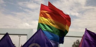 Heteroseksüel feministlerin LGBTİQ+’larla dayanışmasını sağlayan sosyal psikolojik ön koşullar