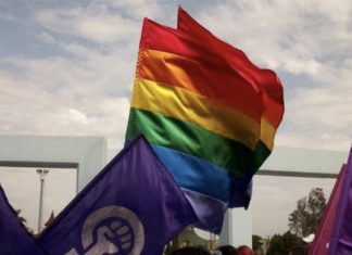 Heteroseksüel feministlerin LGBTİQ+’larla dayanışmasını sağlayan sosyal psikolojik ön koşullar