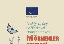 Lezbiyen, Gey ve Biseksüel Danışanlar için İyi Örnekler Rehberi