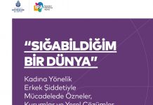 “SIĞABİLDİĞİM BİR DÜNYA” Kadına Yönelik Erkek Şiddetiyle Mücadelede Özneler, Kurumlar ve Yerel Çözümler / Kasım 2021