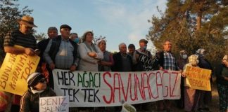 Gözaltına alınan ekoloji aktivisti Deniz Gümüşel: “Yaşamdan yanayız”