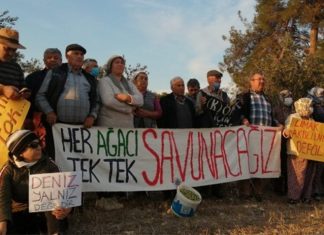 Gözaltına alınan ekoloji aktivisti Deniz Gümüşel: “Yaşamdan yanayız”