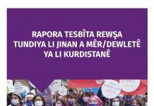 Kadına Yönelik Erkek/Devlet Şiddeti Durum Tespit Raporu / 25 Kasım 2021