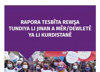 Kadına Yönelik Erkek/Devlet Şiddeti Durum Tespit Raporu / 25 Kasım 2021
