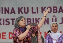 Gültan Kışanak’tan gecik(tiril)miş bir 25 Kasım mesajı