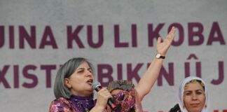 Gültan Kışanak’tan gecik(tiril)miş bir 25 Kasım mesajı