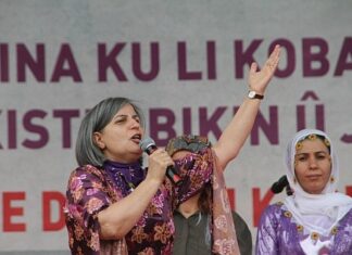 Gültan Kışanak’tan gecik(tiril)miş bir 25 Kasım mesajı