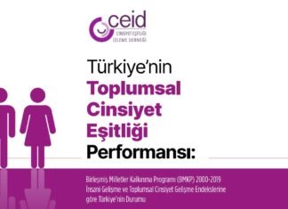 Çıtayı Yükseltmek: 2000-2019 Yılları arasında Türkiye’nin Toplumsal Cinsiyet Eşitliği Performansı / Mart 2022