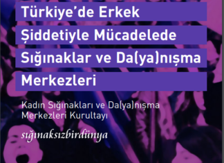 Türkiye’de Erkek Şiddetiyle Mücadelede Sığınaklar ve Da(ya)nışma Merkezleri izleme raporu / Mart 2022
